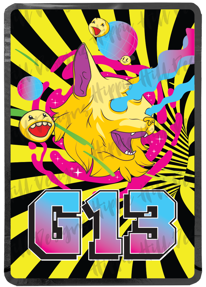 G13