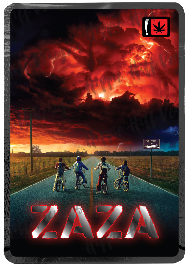 Zaza V3
