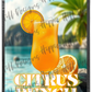 Citrus Punch V2 custom printed mylar bag