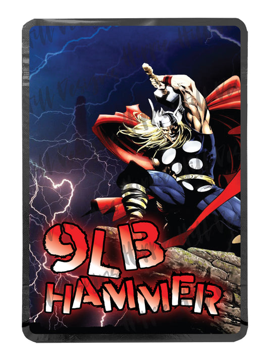 9Lb Hammer